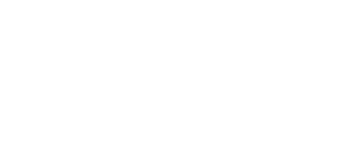 Webfleet